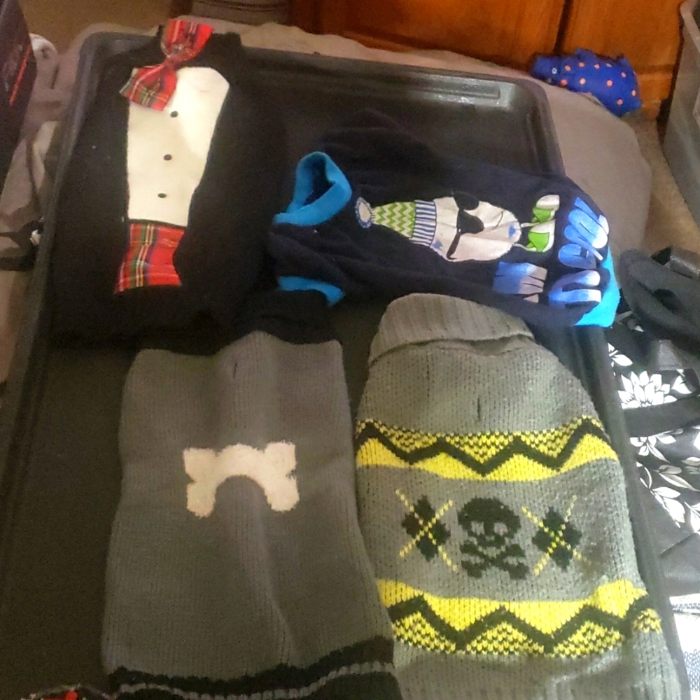 Dog Sweaters and Onesie